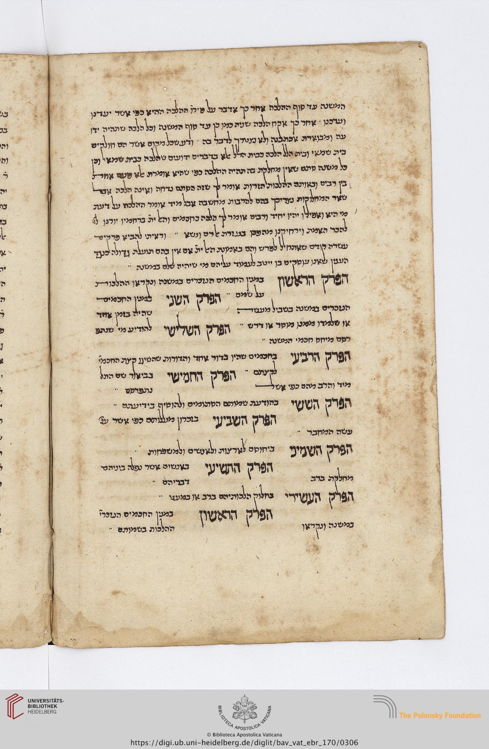 Image of item, e.g. a manuscript page