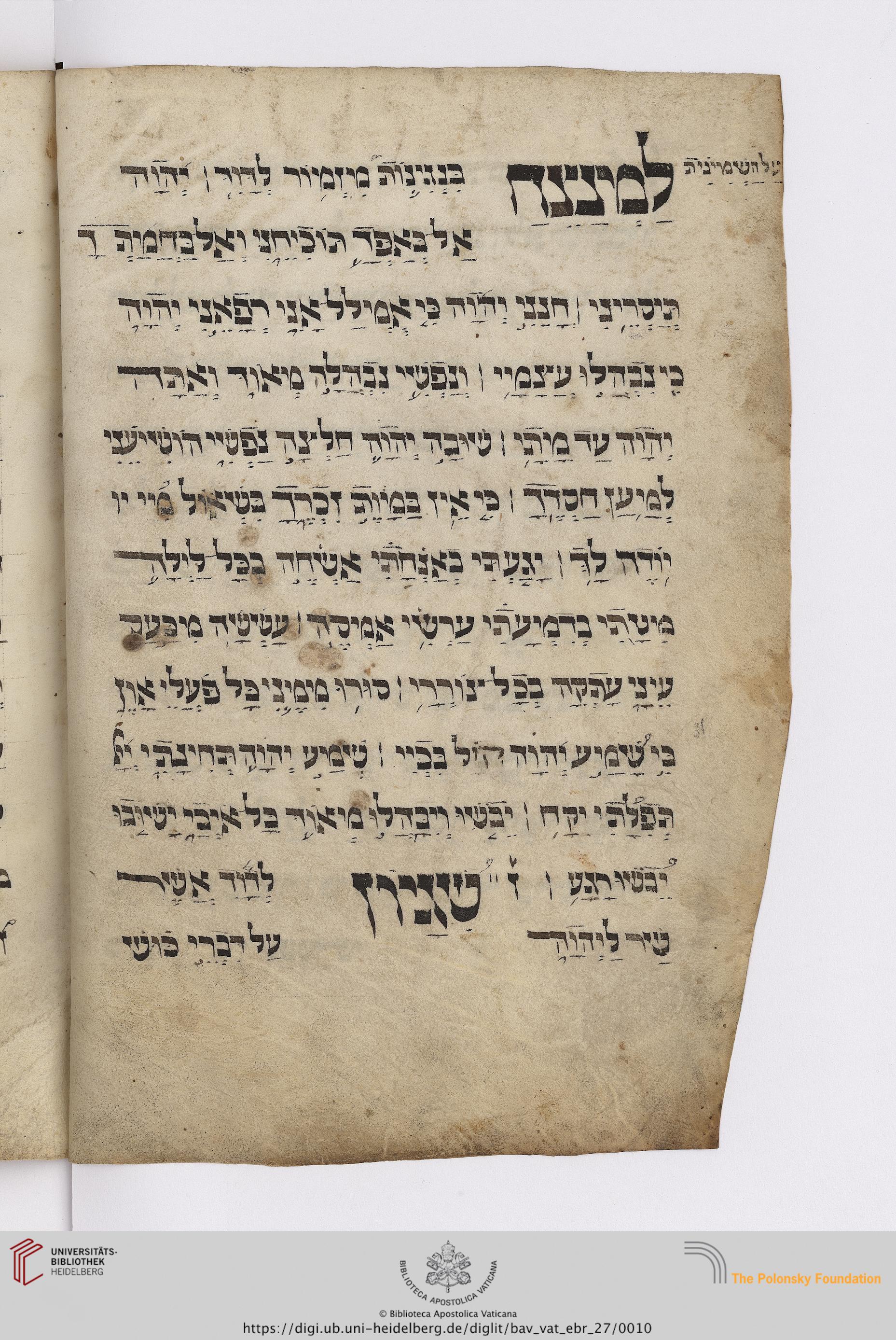 Image of item, e.g. a manuscript page