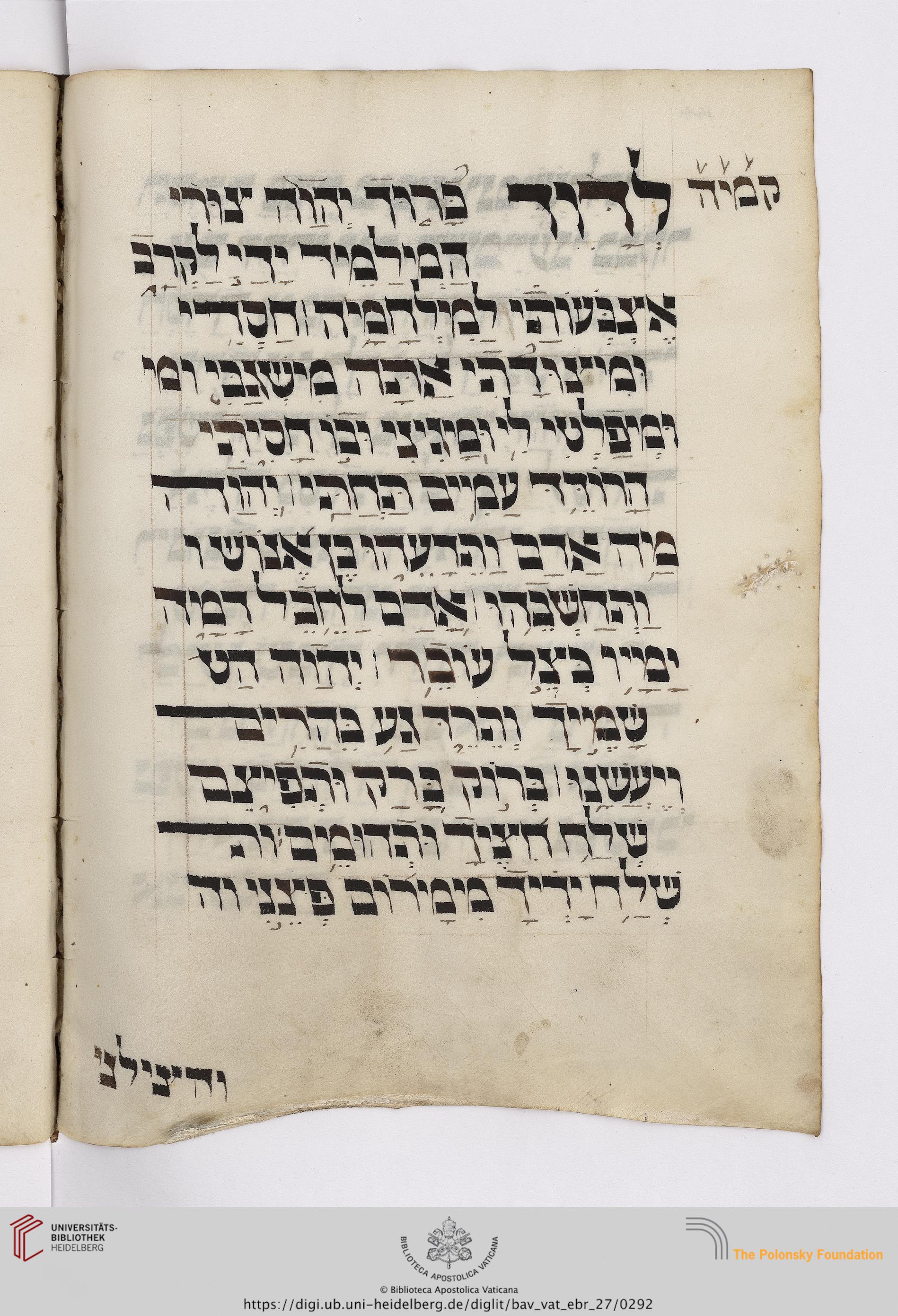Image of item, e.g. a manuscript page
