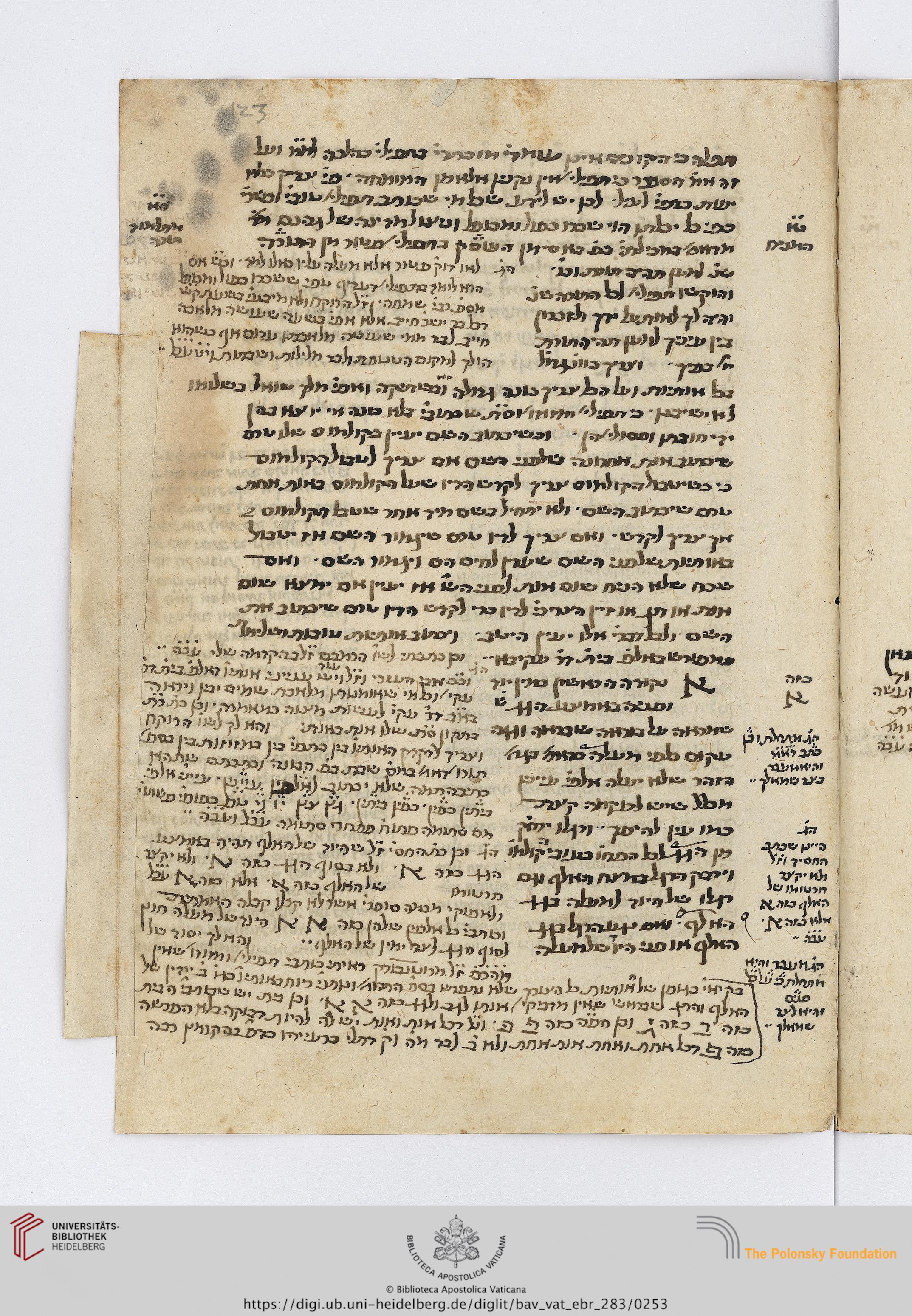 Image of item, e.g. a manuscript page