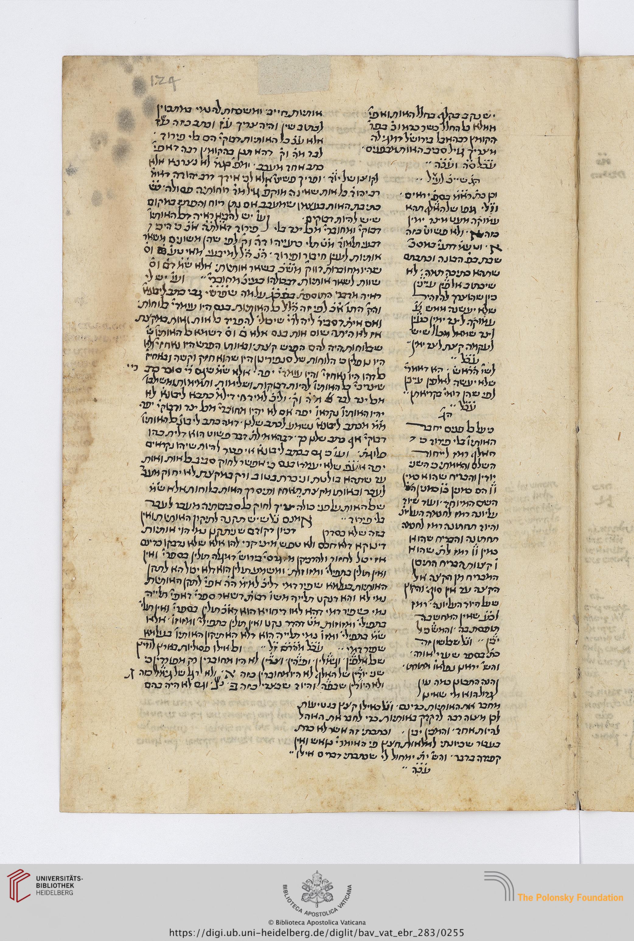 Image of item, e.g. a manuscript page