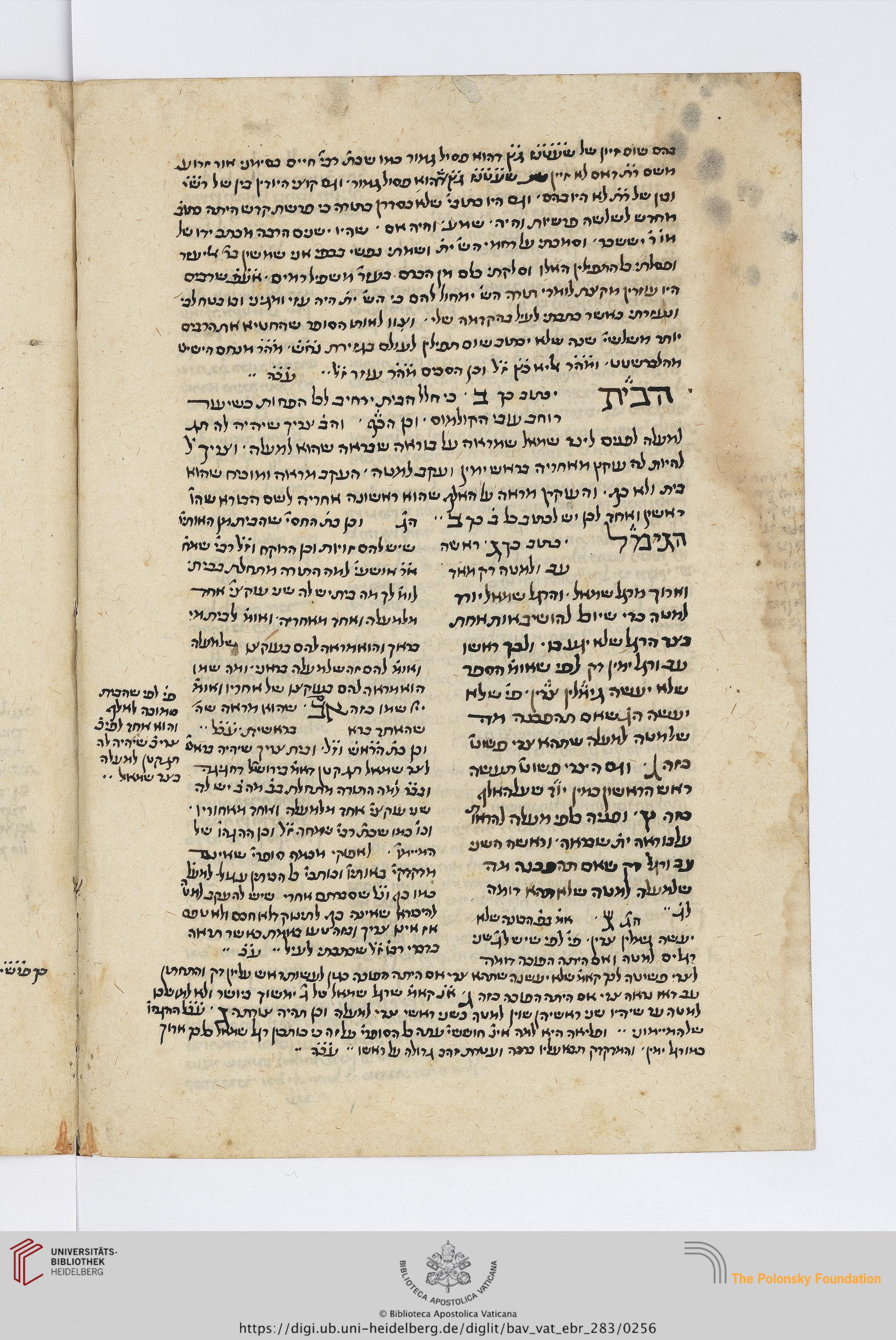 Image of item, e.g. a manuscript page
