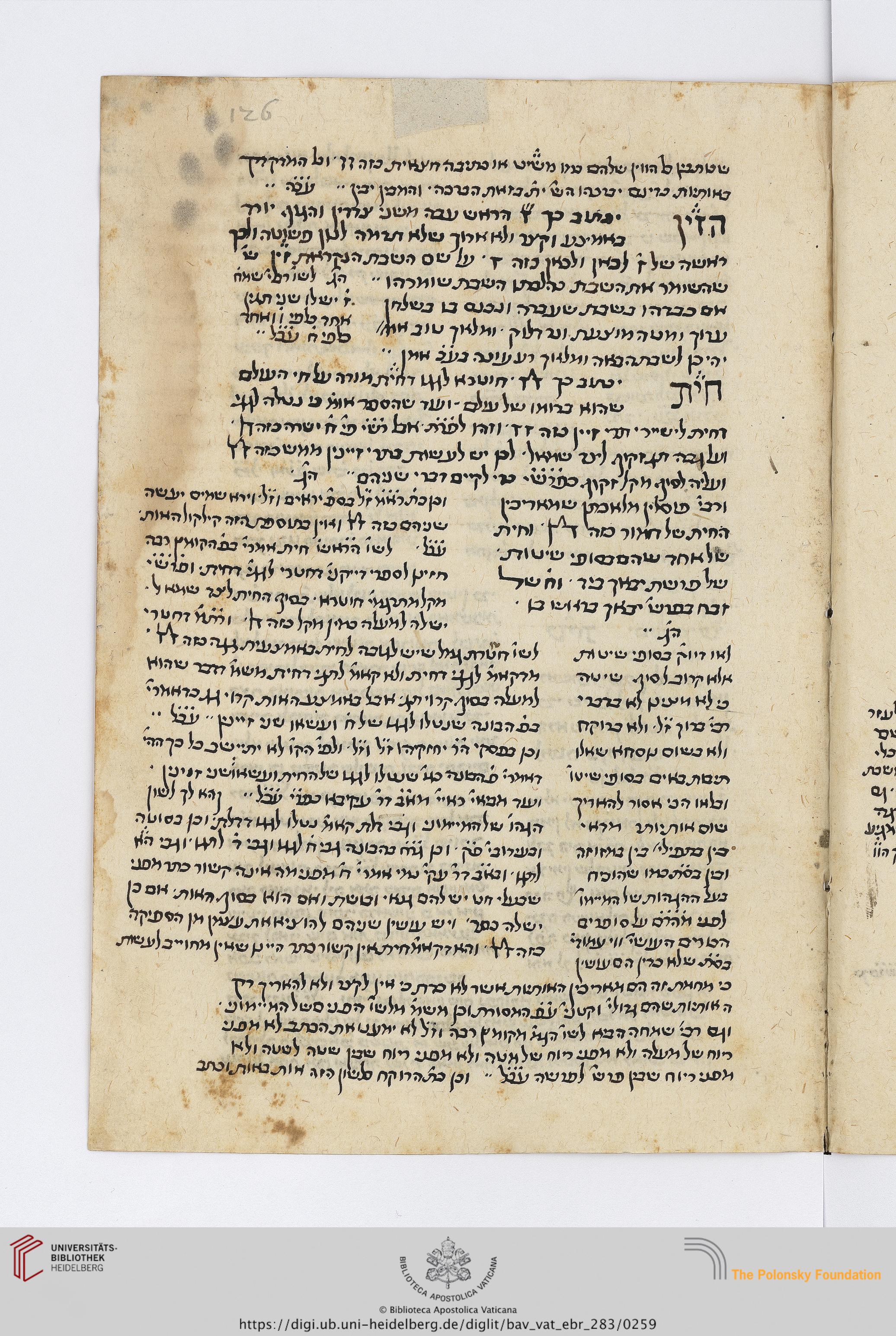 Image of item, e.g. a manuscript page