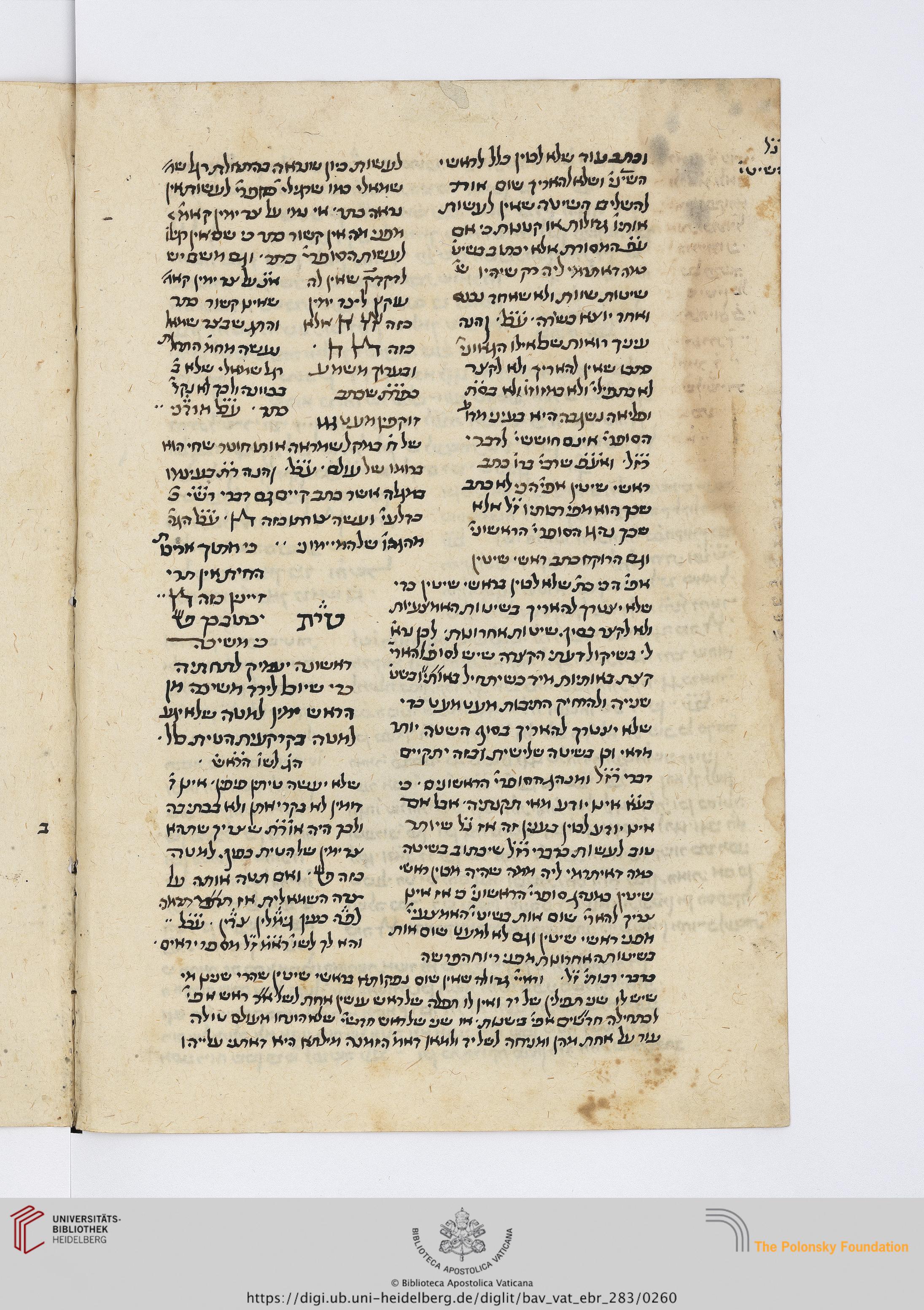 Image of item, e.g. a manuscript page