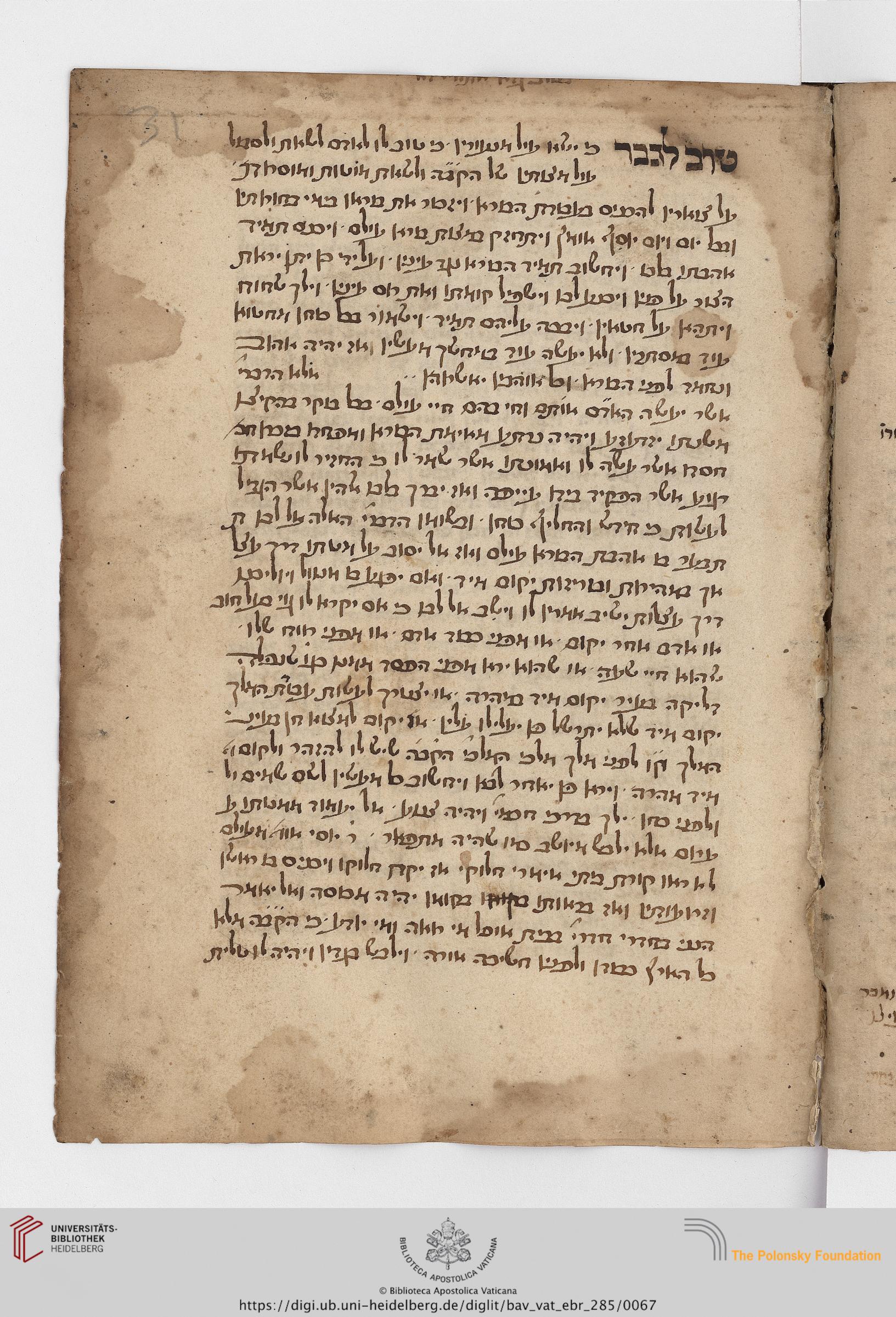Image of item, e.g. a manuscript page