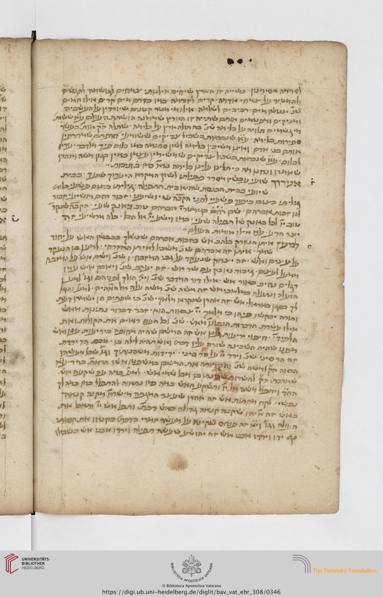 Image of item, e.g. a manuscript page