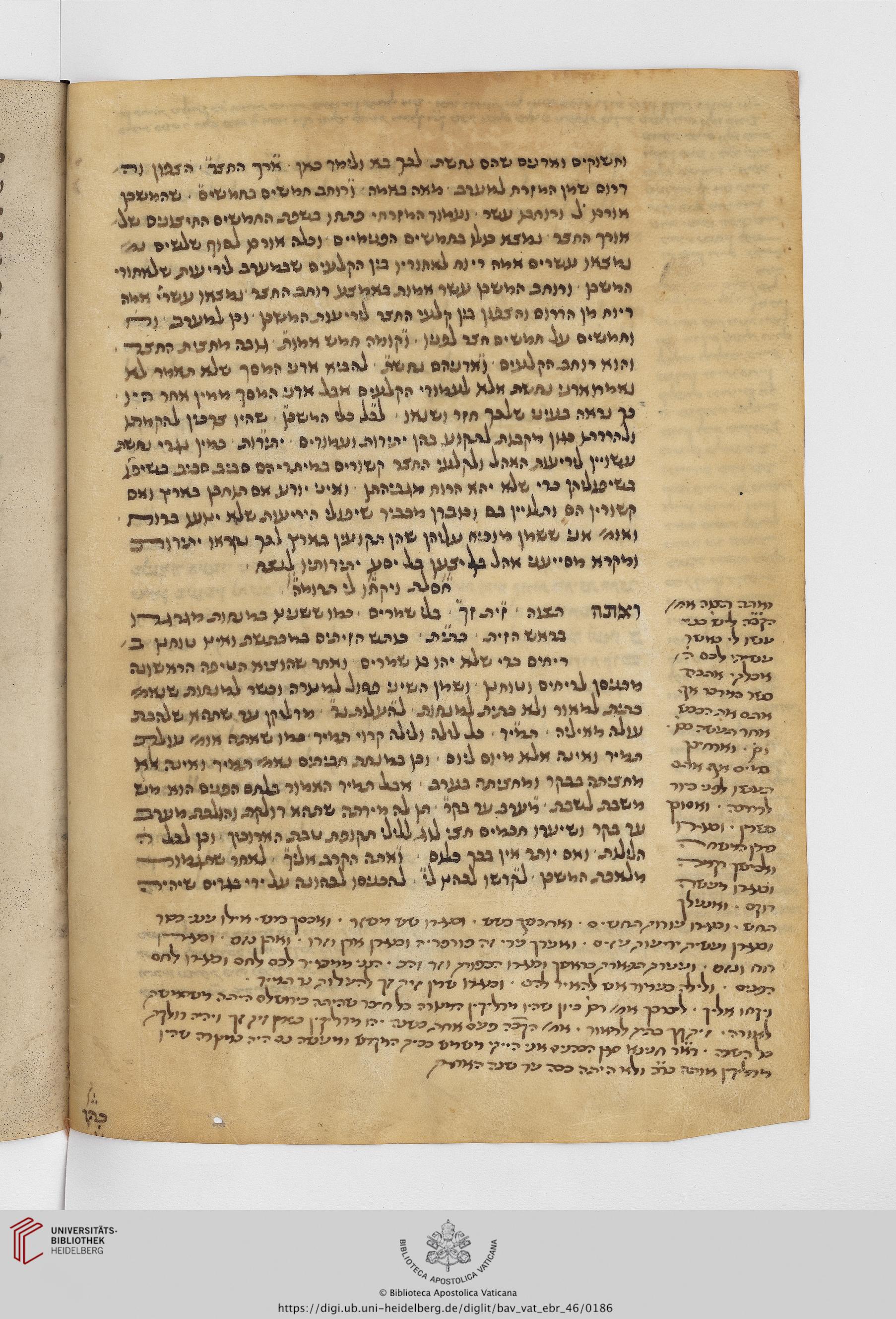 Image of item, e.g. a manuscript page