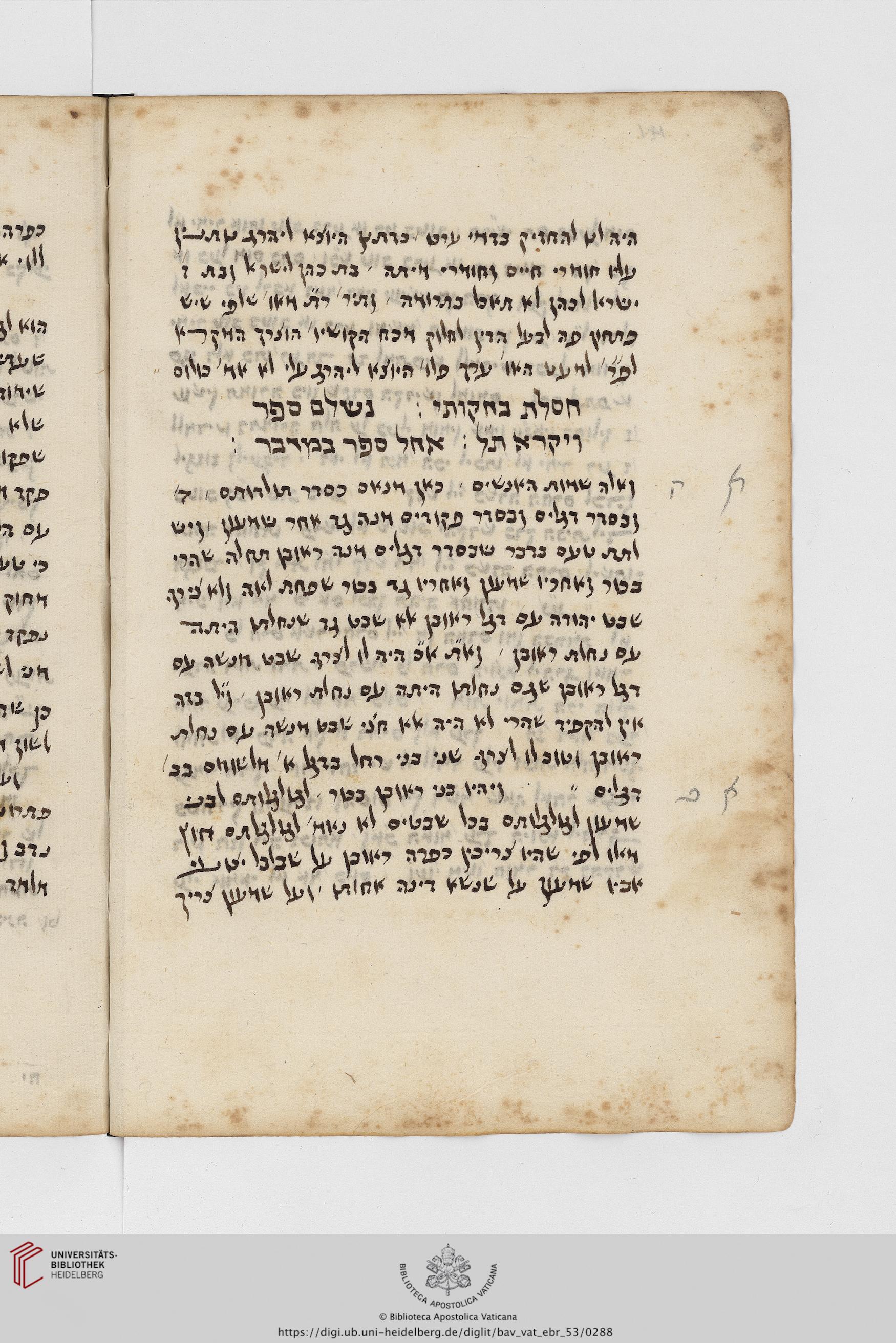 Image of item, e.g. a manuscript page