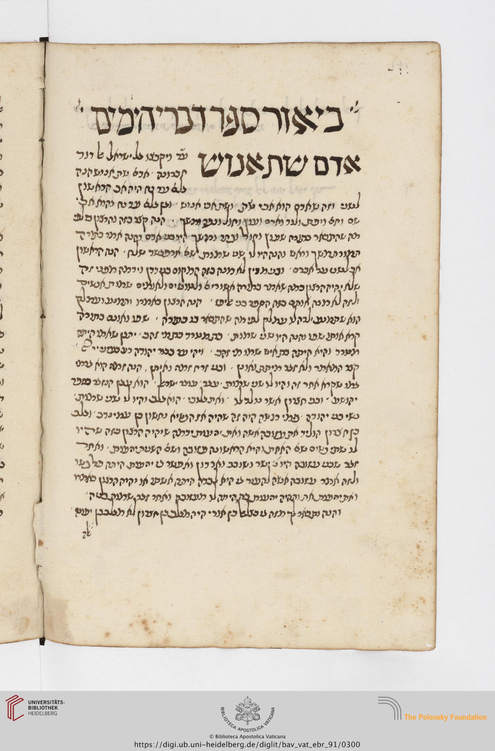 Image of item, e.g. a manuscript page