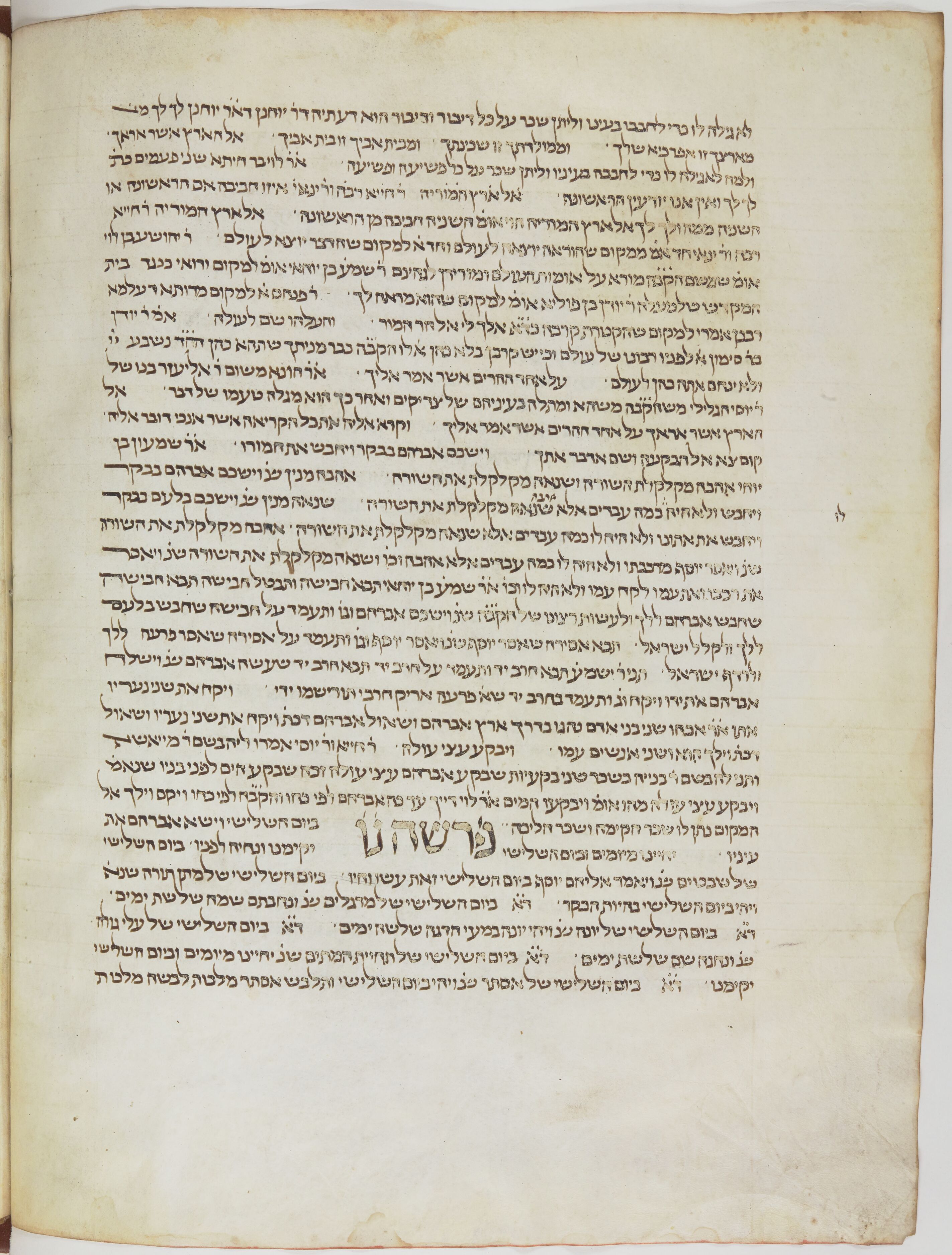 Image of item, e.g. a manuscript page