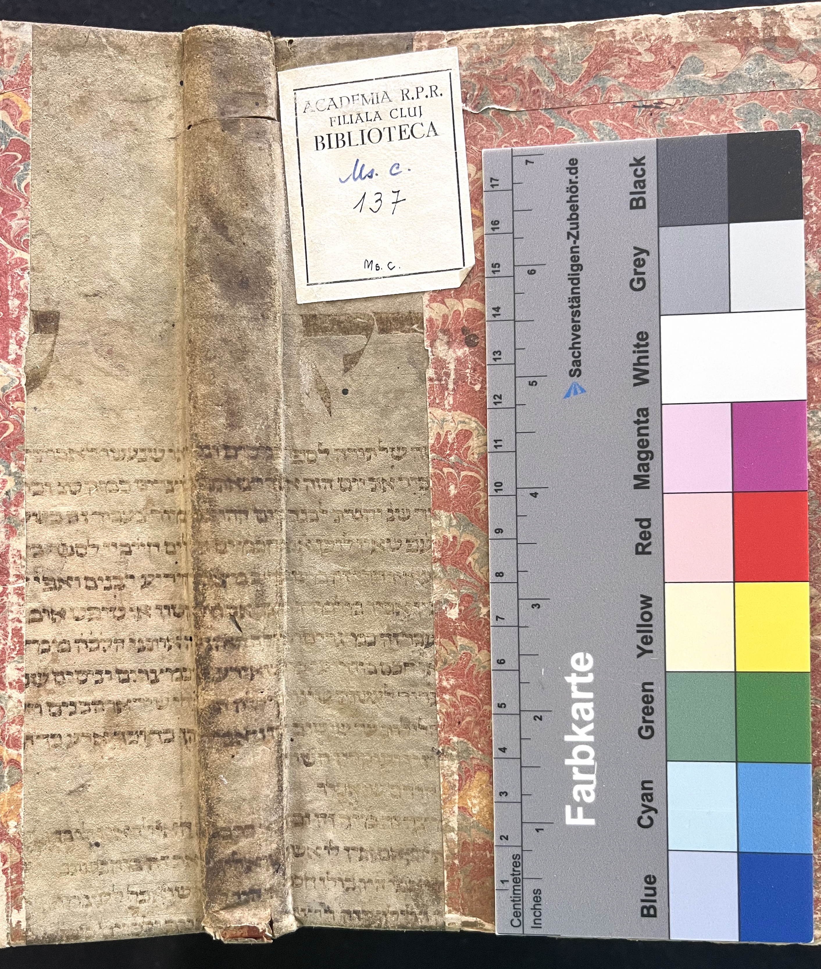 Image of item, e.g. a manuscript page