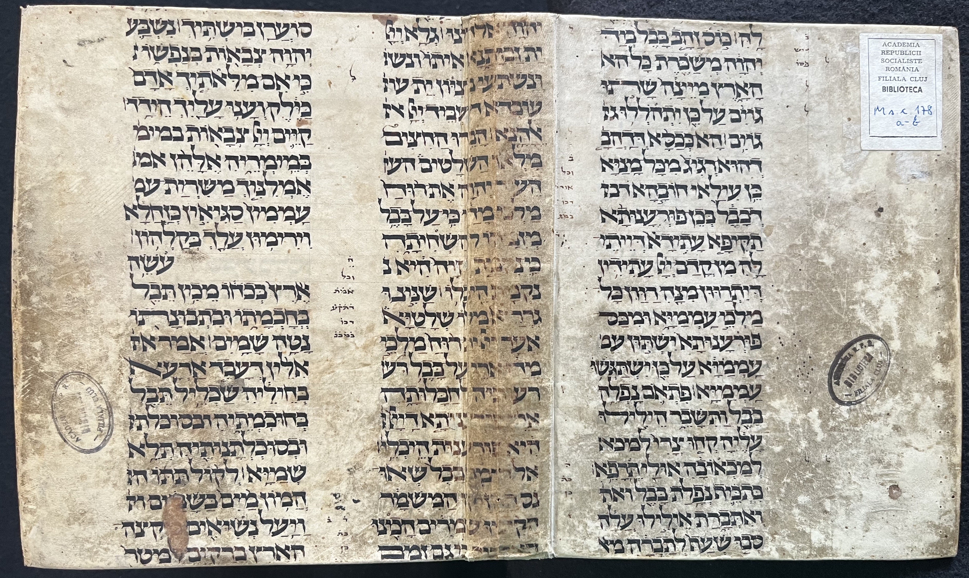 Image of item, e.g. a manuscript page