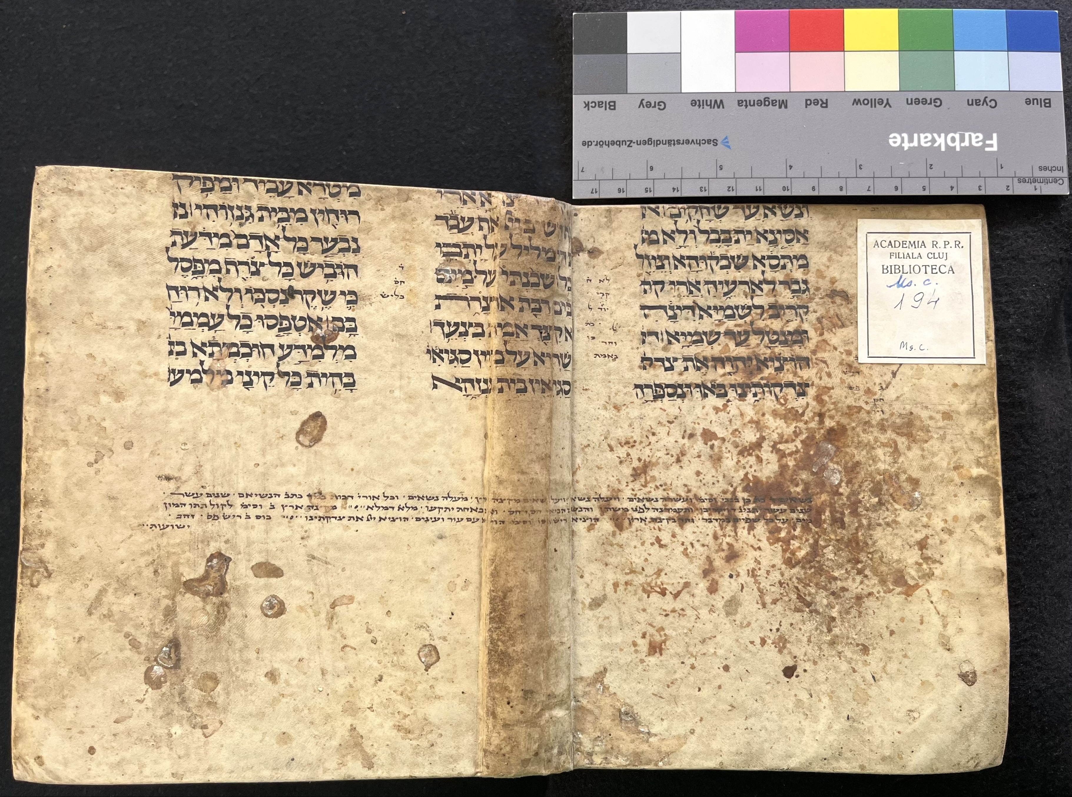 Image of item, e.g. a manuscript page