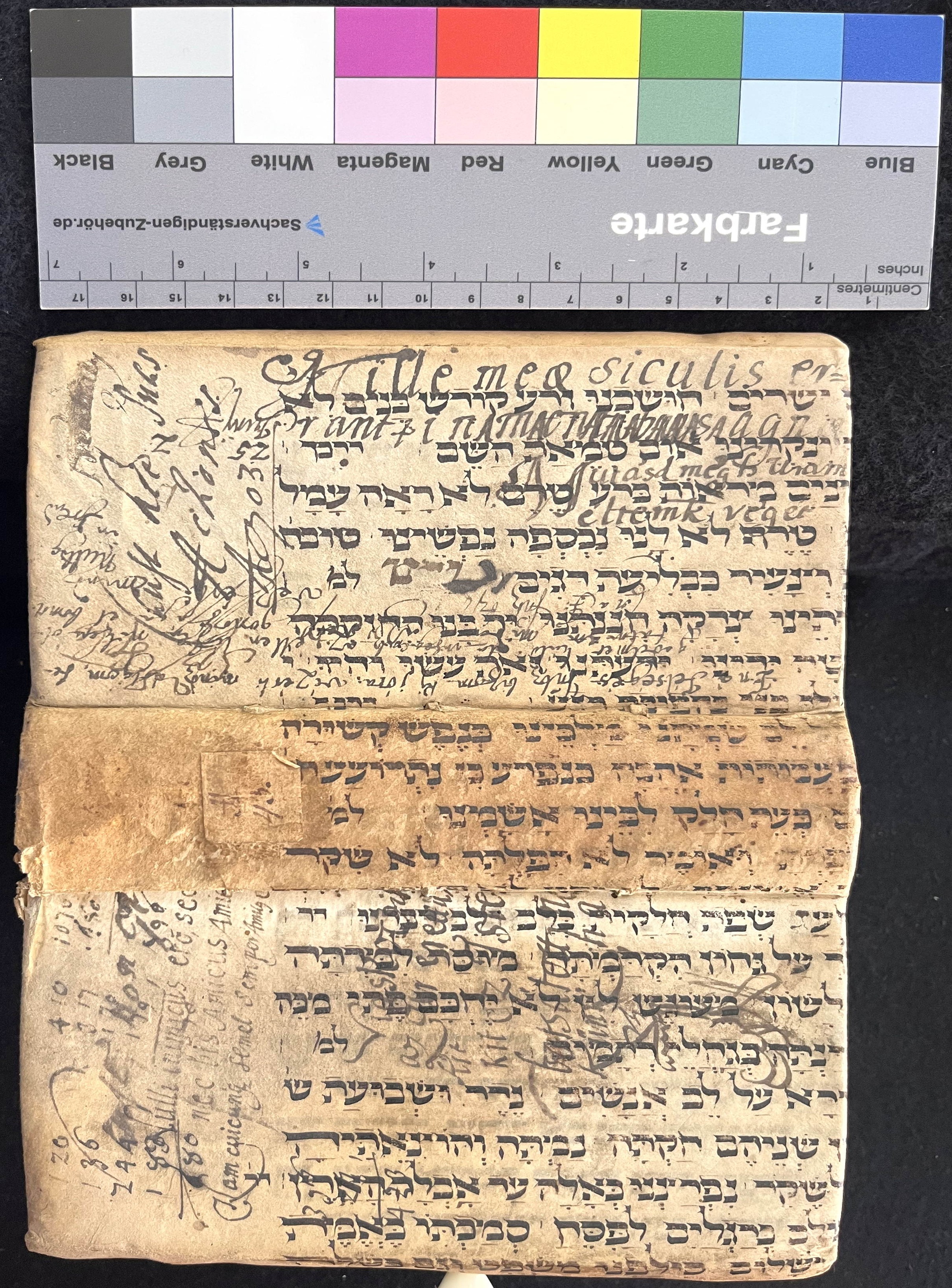 Image of item, e.g. a manuscript page