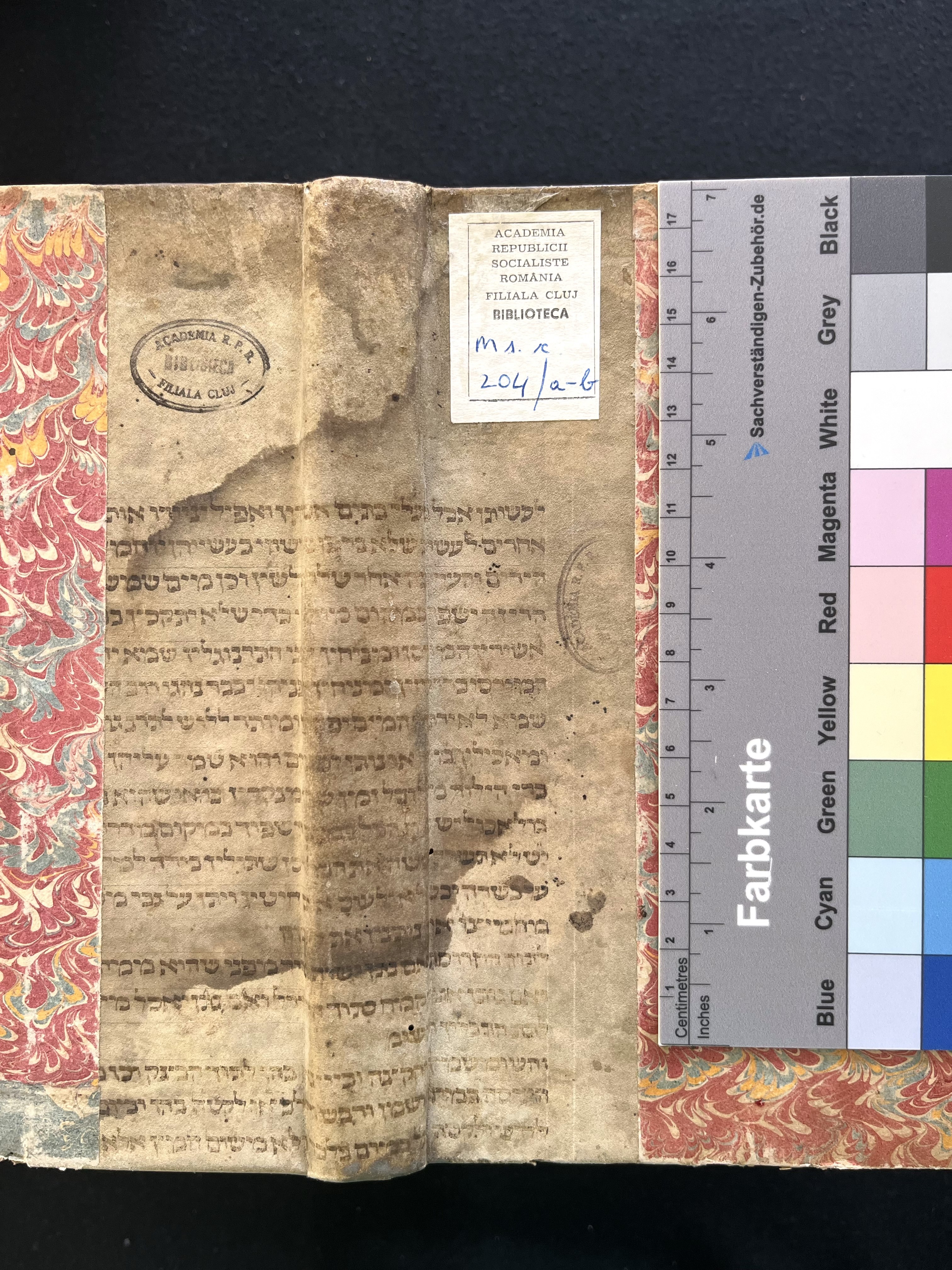Image of item, e.g. a manuscript page
