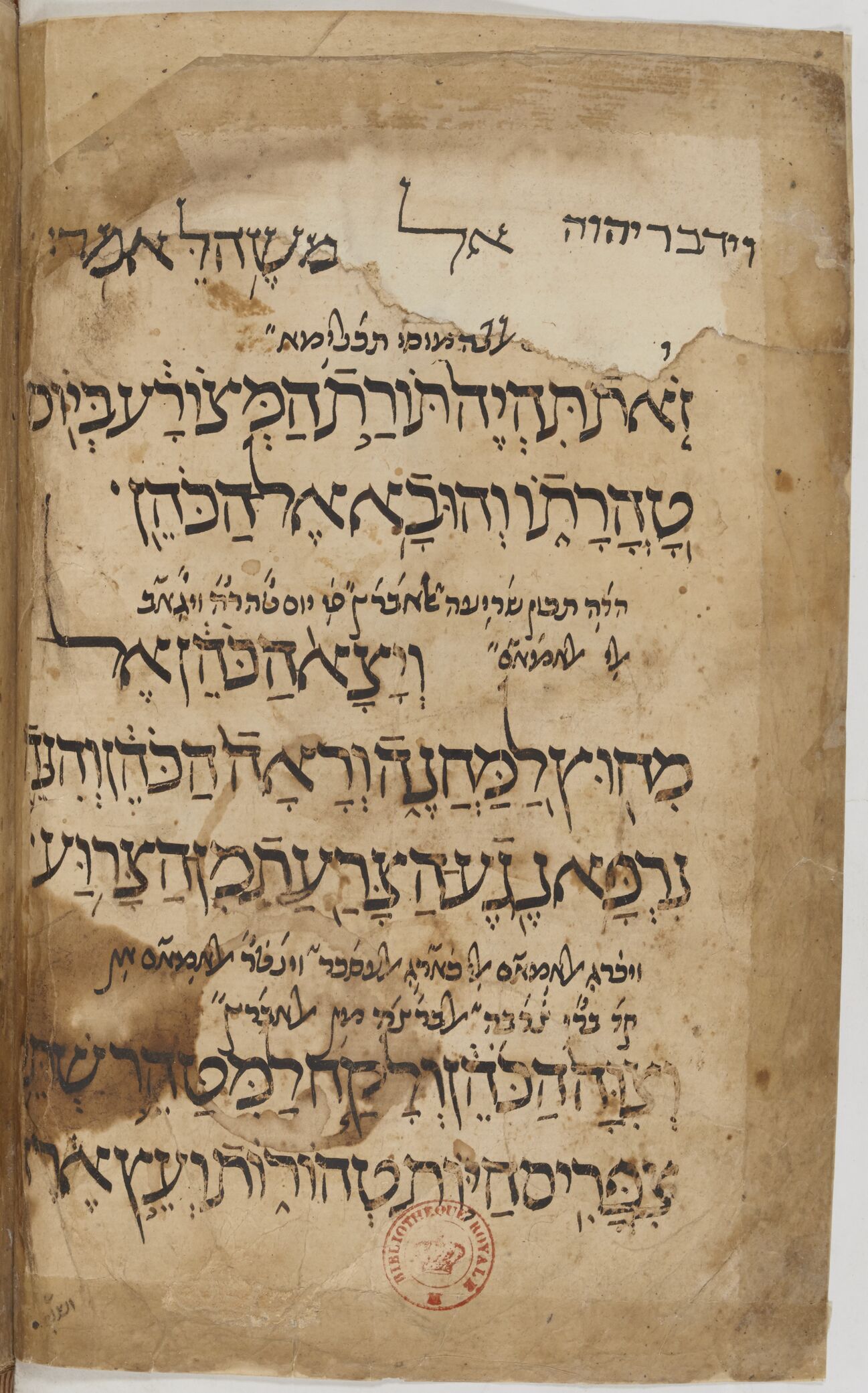 Image of item, e.g. a manuscript page