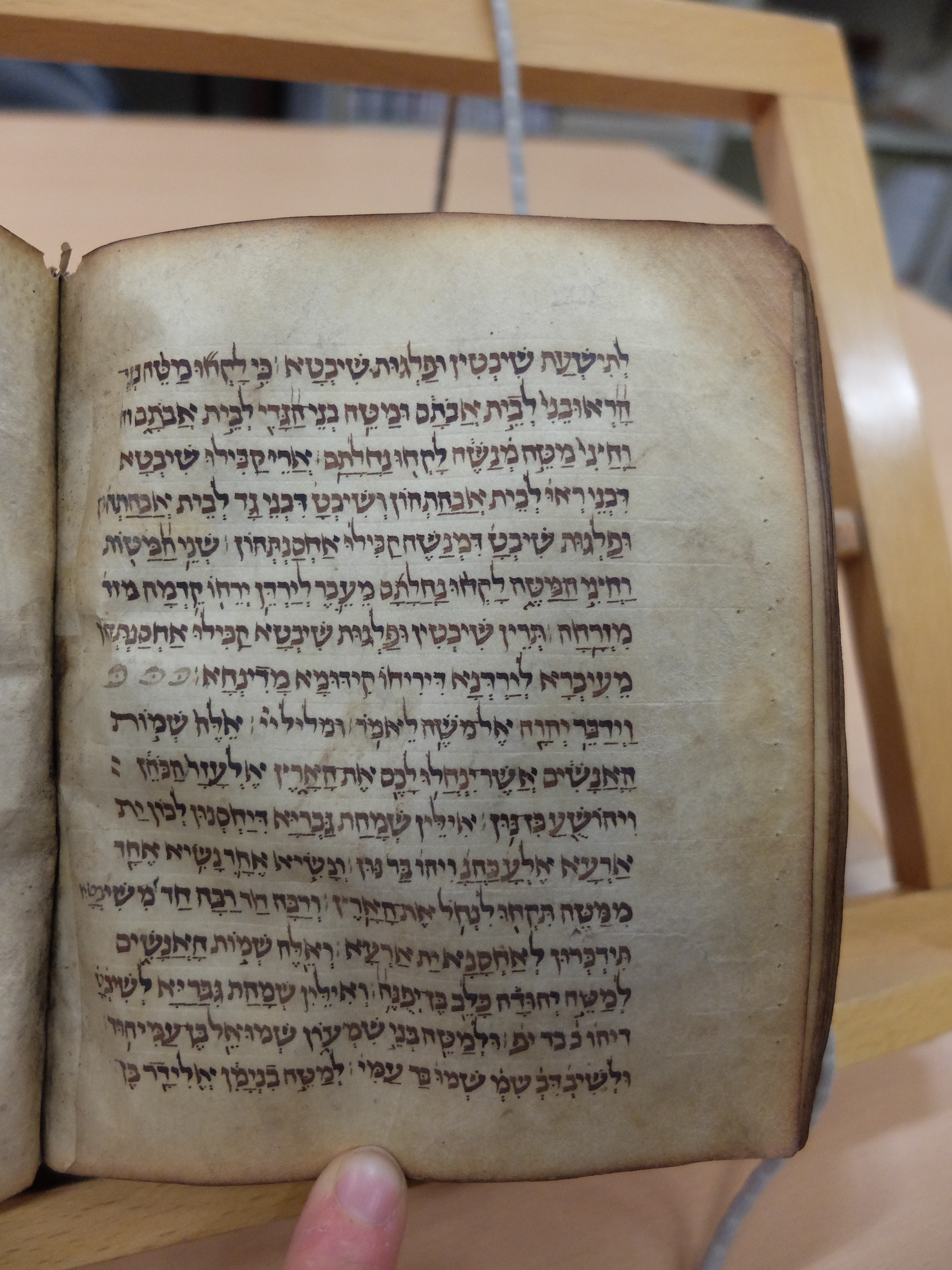 Image of item, e.g. a manuscript page