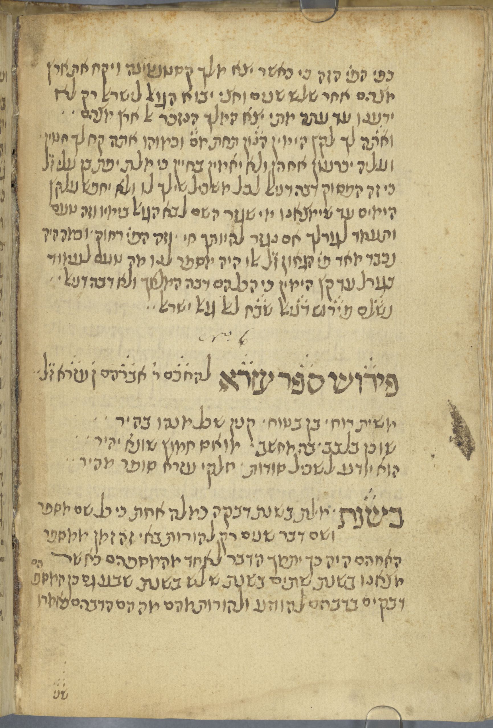 Image of item, e.g. a manuscript page