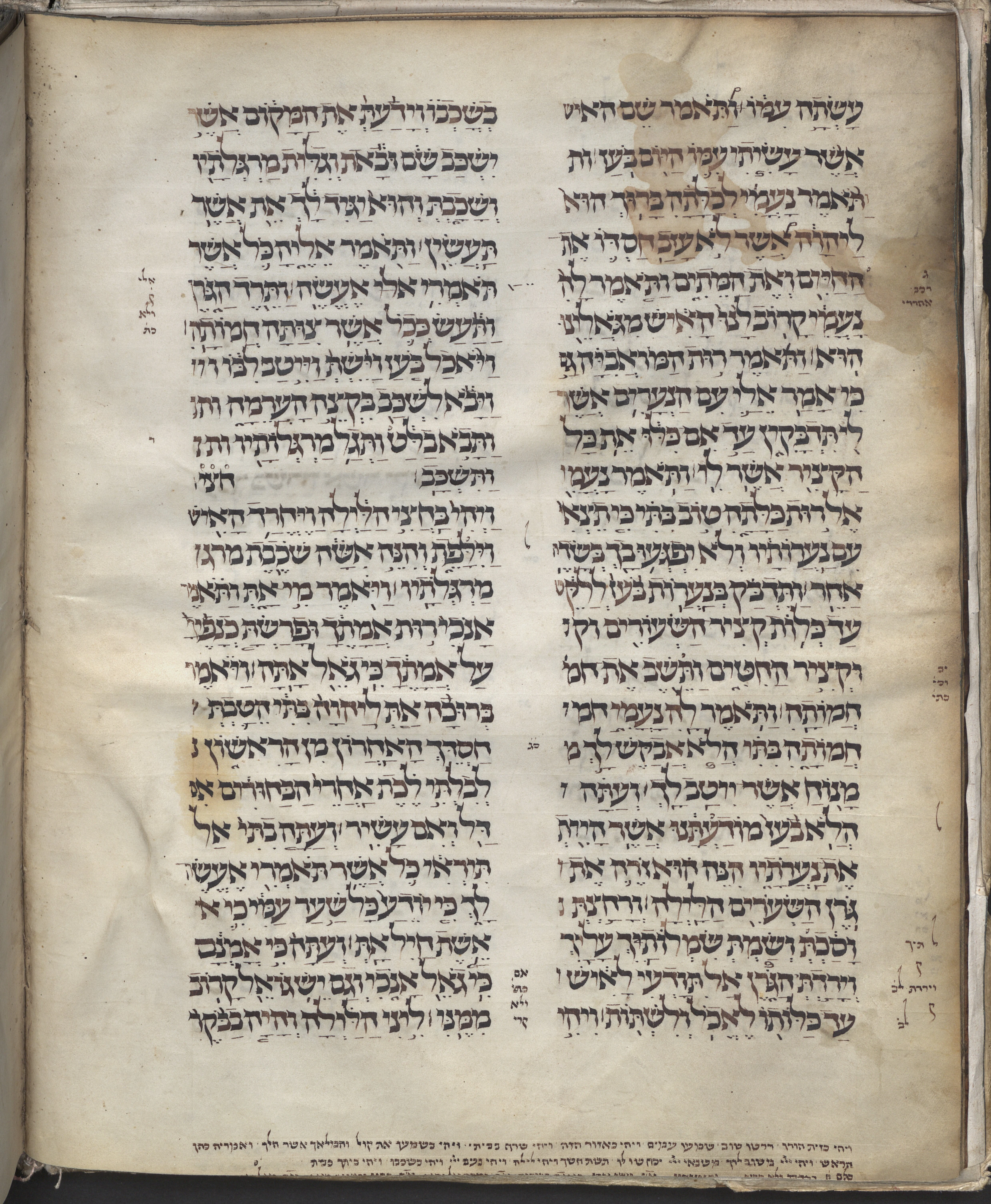 Image of item, e.g. a manuscript page