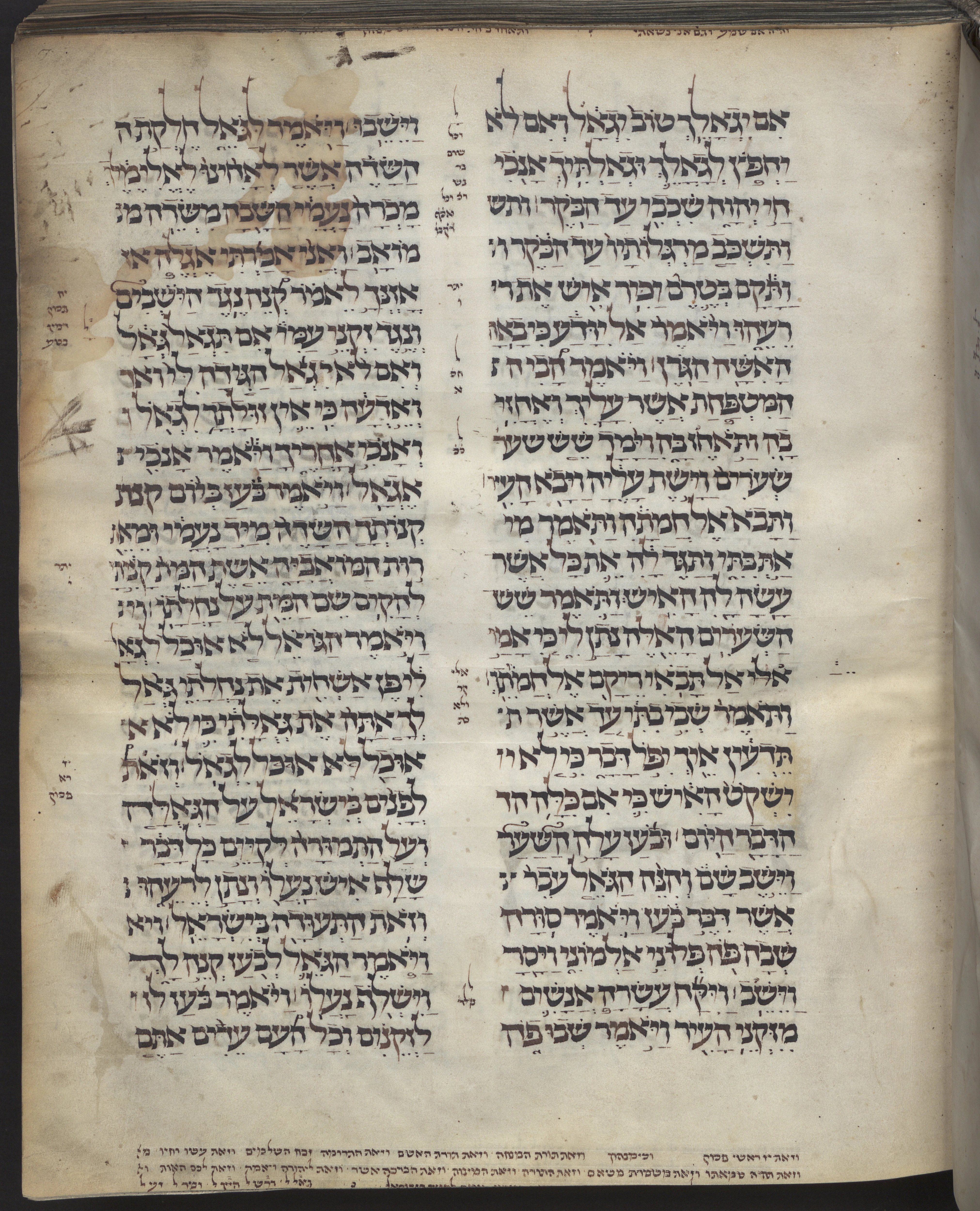 Image of item, e.g. a manuscript page