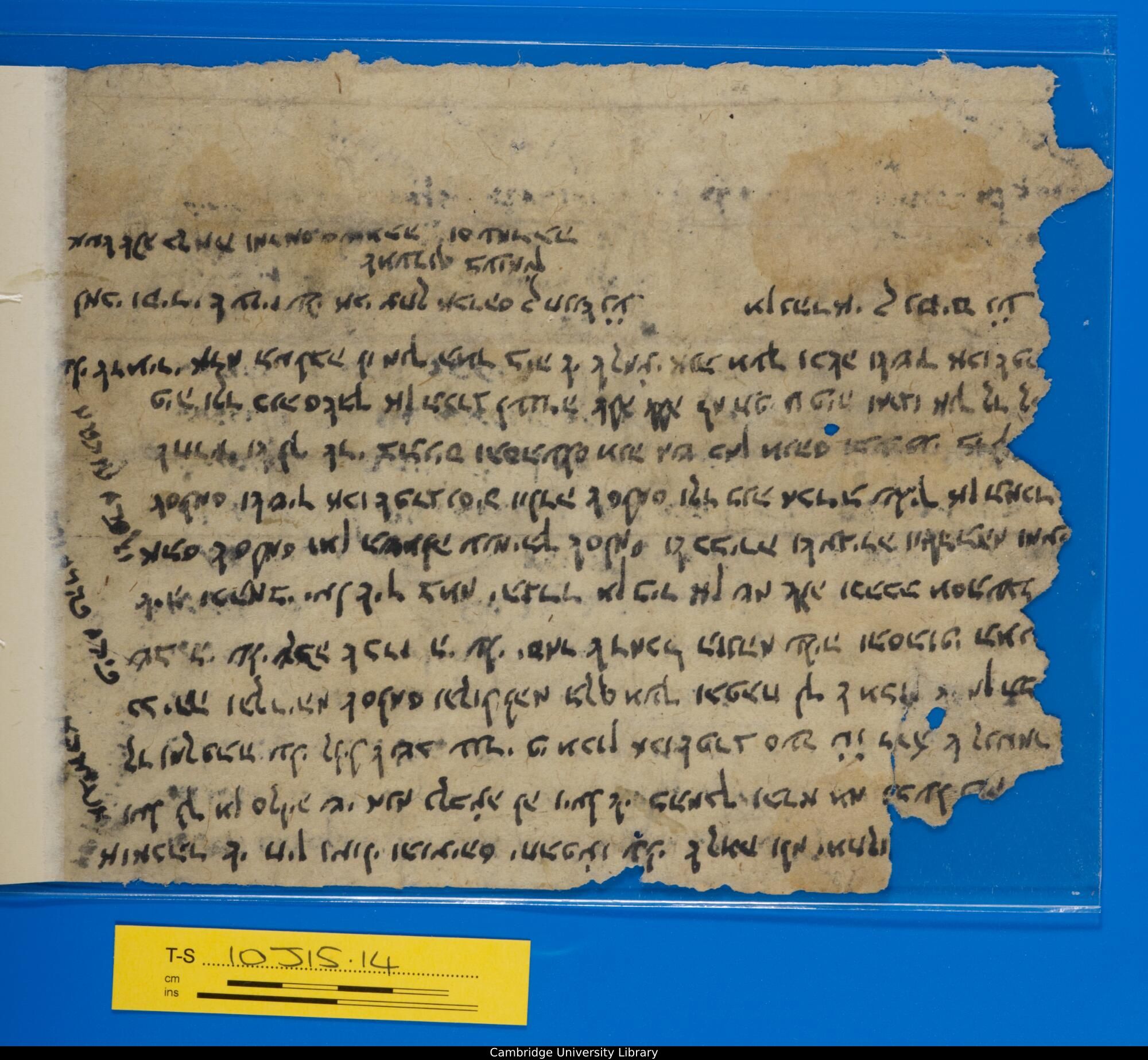 Image of item, e.g. a manuscript page